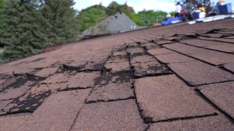 Best Chimney Flashing Repair  in Amherst, VA