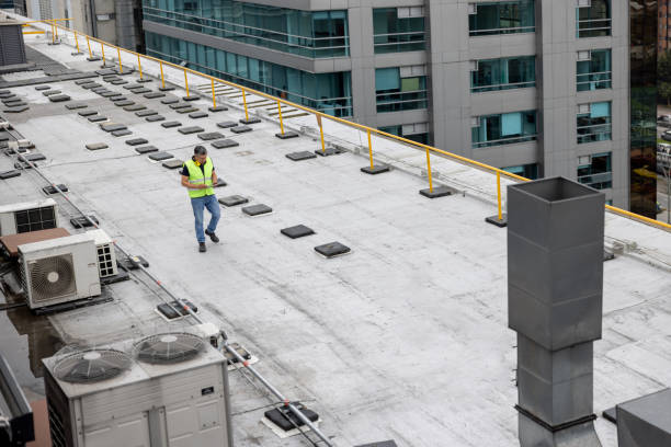 Best Roof Maintenance and Cleaning  in Amherst, VA