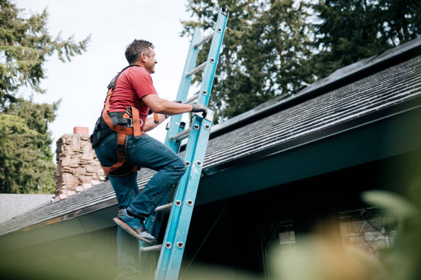 Best Green or Eco-Friendly Roofing Solutions  in Amherst, VA