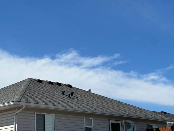 Best Emergency Roof Repair Services  in Amherst, VA
